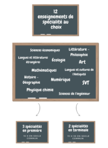 Grand Oral Du Bac : Comment Préparer Mes élèves